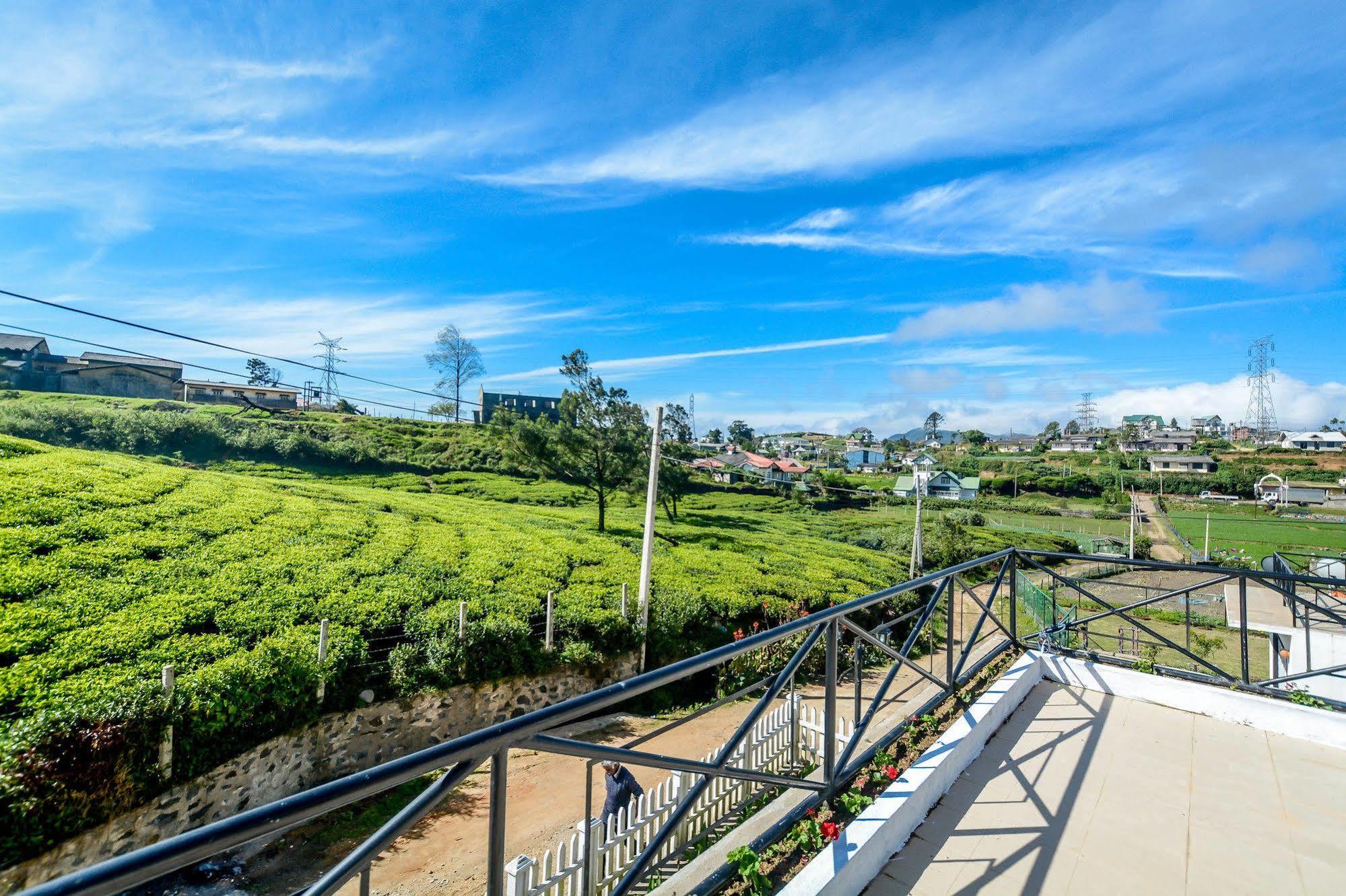 Villa Tea Fields Νουβάρα Ελίγια Εξωτερικό φωτογραφία