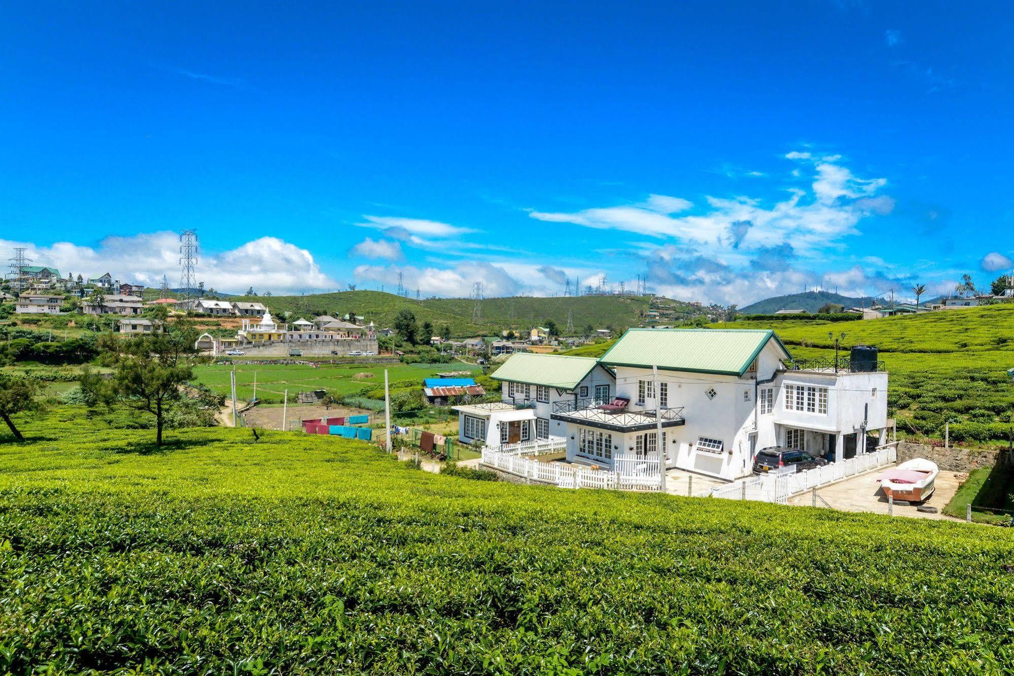 Villa Tea Fields Νουβάρα Ελίγια Εξωτερικό φωτογραφία